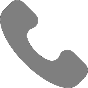 Phone Call Icon